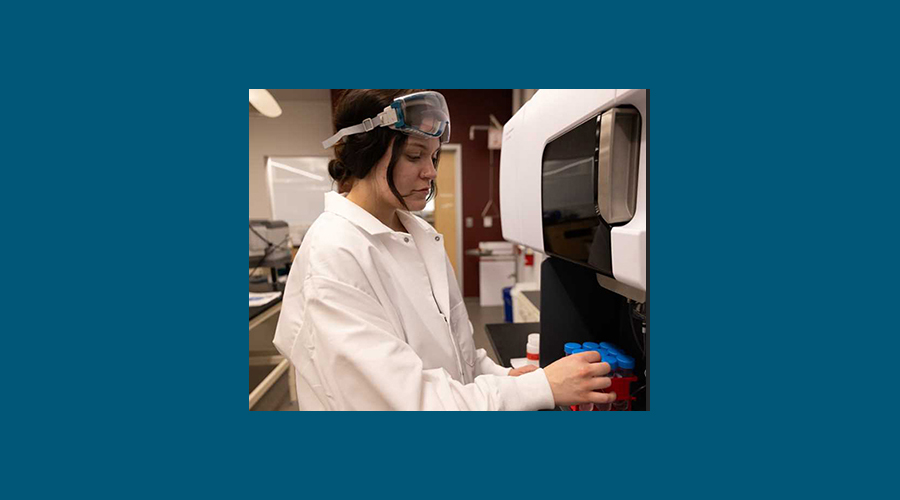 What’s in your playground? UWL chemistry researchers study trace metal contamination in playground surfaces