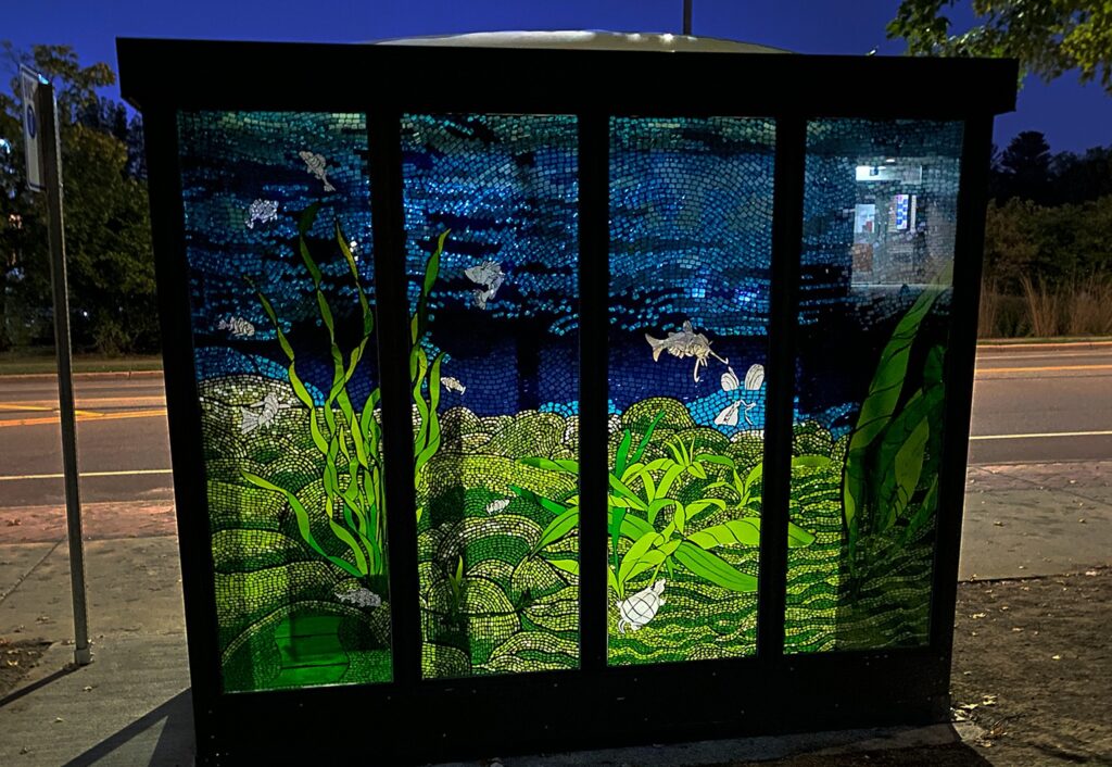 Blugold artists celebrate Chippewa River aquatic life in new