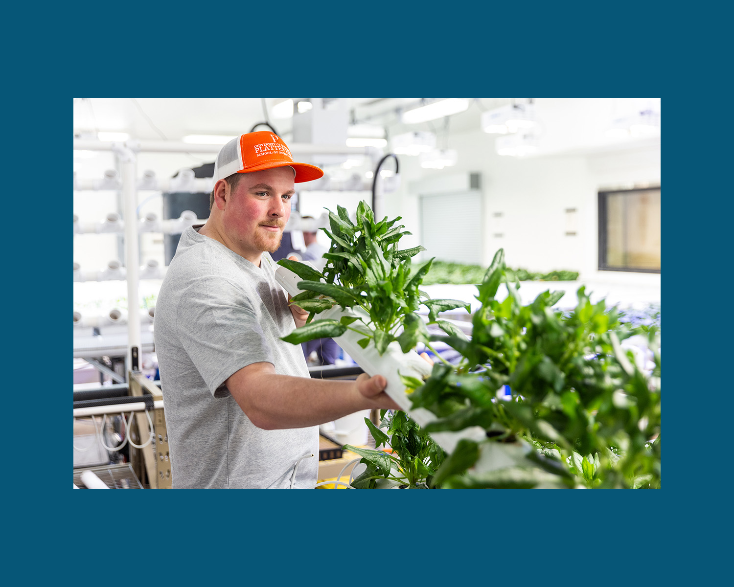 UW-Platteville campus hydroponics lab is growing the future of education, nutrition and sustainability
