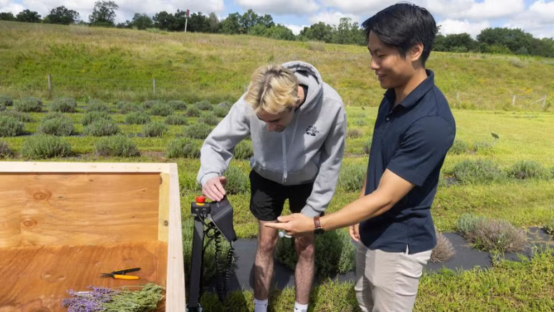 AI flower power: Pondview Lavender Farm joins in professors