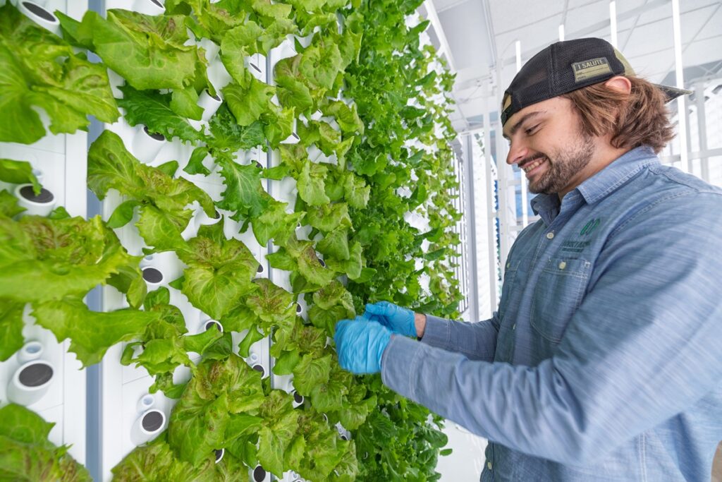 Collaboration creates a new way to provide healthy, local foods in ...