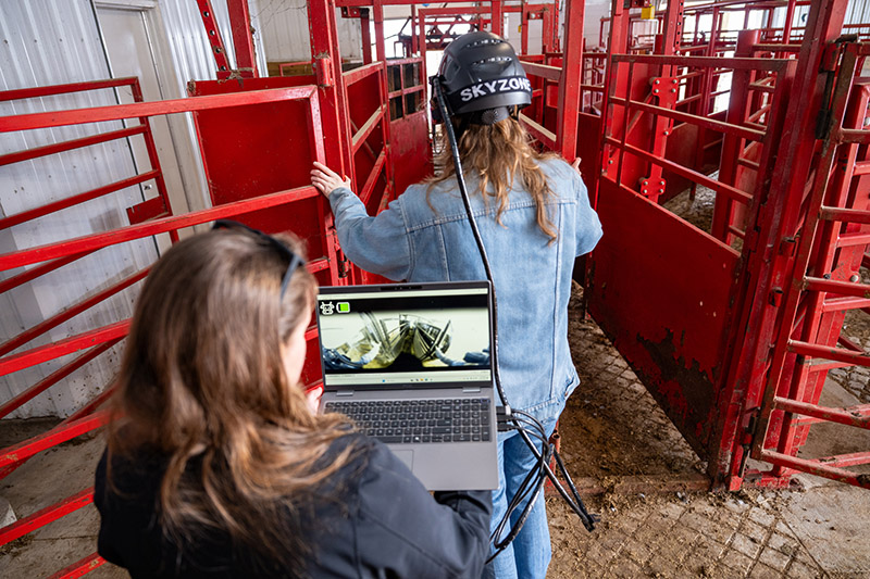Photo: UW-River Falls student Natalie Furhman navigates a cattle chute wearing Animal Eye Simulator augmented reality goggles while UWRF Humane Handling Institute (HHI) Program Manager Ashlynn Kirk watches the simulator's display.