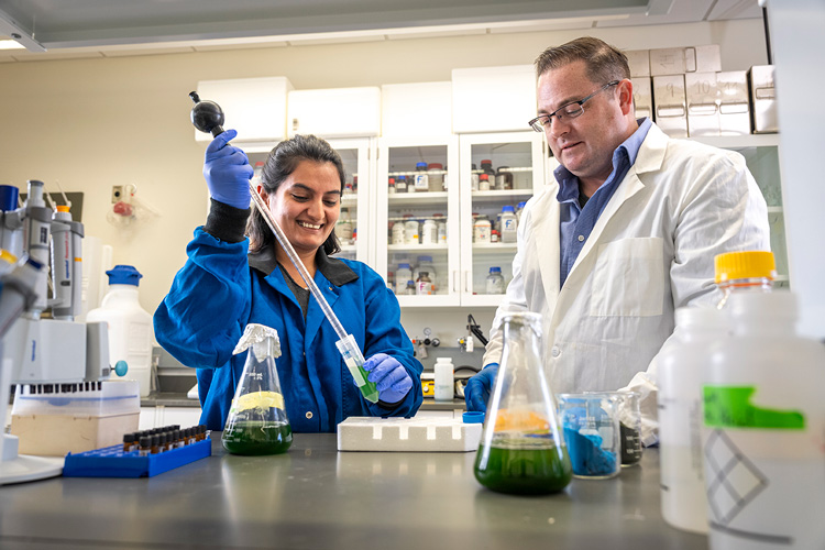 Photo: Todd Miller, an associate professor of environmental health sciences at UWM, works with postdoctoral student Anjana Adhikari in the laboratory. Miller's research focuses on blue-green algae, which can produce toxins that are harmful to both humans and animals. (UWM Photo/Andy Manis)