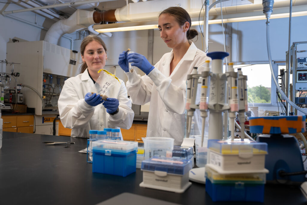 Photo: Dr. Bridget McGivern (left), UW-Eau Claire assistant professor of chemistry and biochemistry, and Alena Donahue, a biochemistry/molecular biology major, work to uncover new information about the microorganisms present beneath cranberry plants. (Photo credit: UW-Eau Claire)
