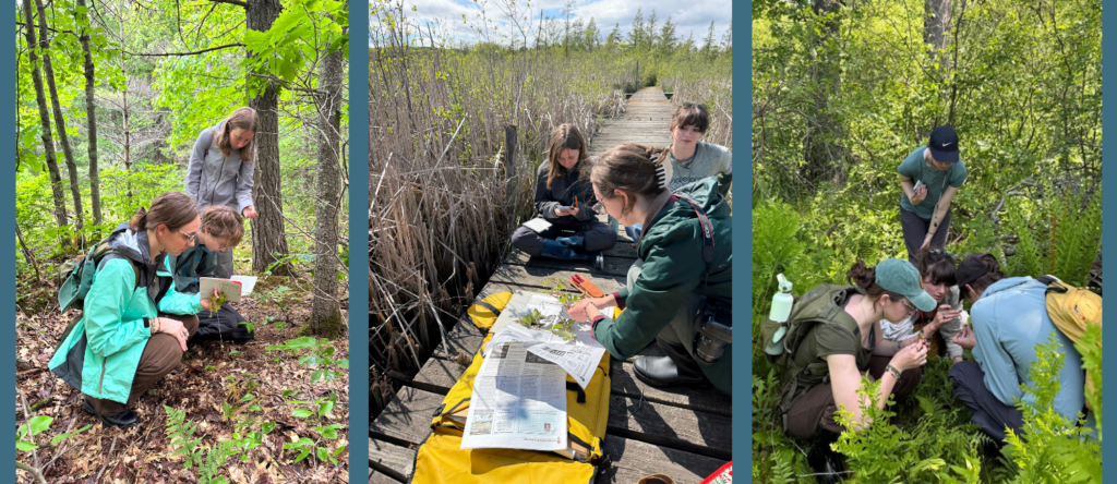 Photo of UW peatland research