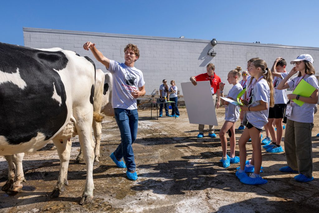 Photo: Badger Dairy Camp campers listen to undergraduate camp counselor Nick Needham as he helps lead a dairy judging and linear evaluation activity at UW–Madison's Dairy Cattle Center. Photo by Michael P. King/UW–Madison CALS.