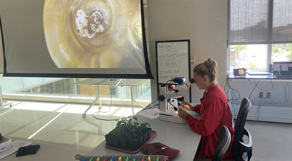 Photo: Students use light microscopes to explore the world of parasitic flat worms during snail dissection.