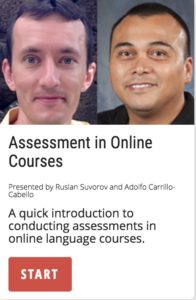 Assessment in Online Courses