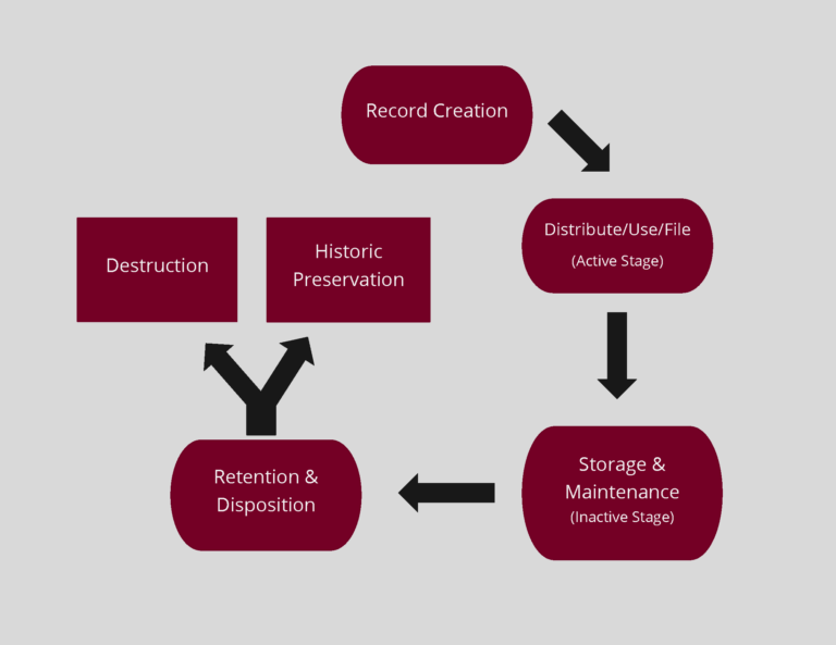 Visualization of the public records lifecycle.