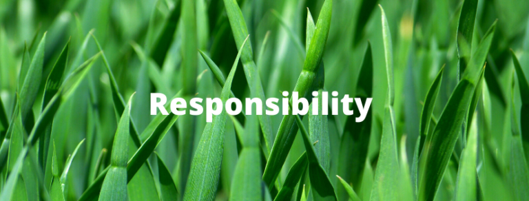 Responsibility on grass image