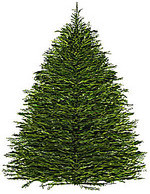holiday safety issues environment health safety holiday safety issues environment health safety