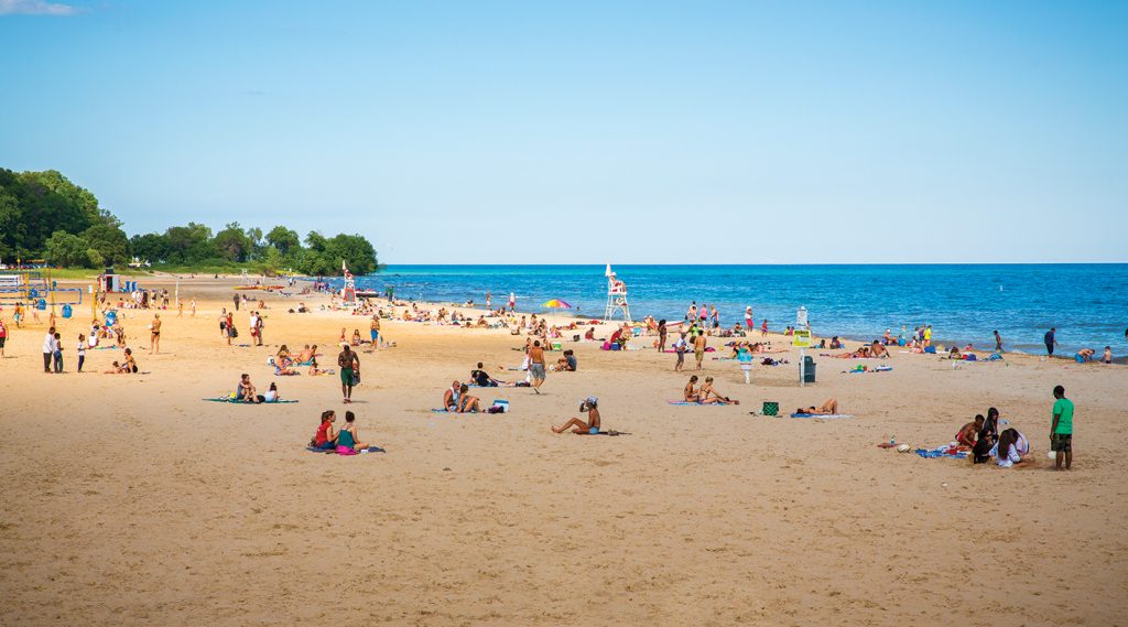 Bradford Beach is enjoying a new day in the sun after aggressive cleanup and naturalization efforts improved water quality and boosted overall beach health. (UWM Photo/Derek Rickert)