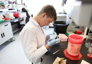 Student Jacob Hildebrand withdrawls tiny amounts of hemolymph, the equivalent of blood, from chilled bees while assisting Jim Burritt, associate professor of biology, Tuesday, July 7, 2015 in a biotechnology lab in Jarvis Hall, on his two-year bee study project, "Honey Bee Hemocyte Profiling by Flow Cytometry". Burritt is trying to help figure out the problem known as hive winter kill, which is threatening the honeybee industry and possibly even the species itself. (UW-Stout photo by Brett T. Roseman)