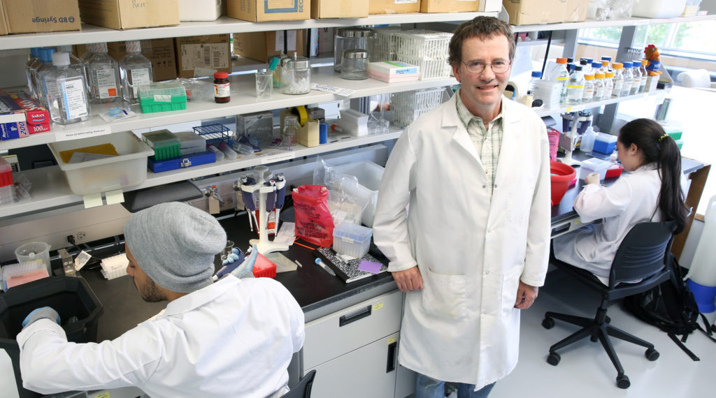 Jim Burritt, associate professor of biology, is photographed Tuesday, July 7, 2015 in a biotechnology lab in Jarvis Hall, while working with students and lab assistants on his two-year bee study project, "Honey Bee Hemocyte Profiling by Flow Cytometry". Burritt is trying to help figure out the problem known as hive winter kill, which is threatening the honeybee industry and possibly even the species itself. (UW-Stout photo by Brett T. Roseman)