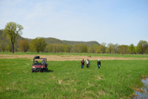 Thomsen walks with collaborators at a forest restoration site near La Crescent. A plant ecologist, Thomsen is interested in using her understanding of ecology to find the best ways to manage natural ecosystems. Results of her latest experiment will be shared with land management agencies to bring back floodplain forests, which are important habitat for wildlife and birds.