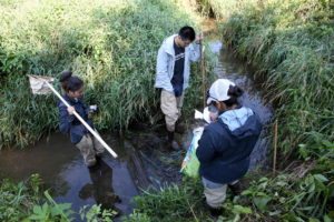 Photo of LAKES REU students, from left Stephanie Gonzalez, Jimmy Chin and Elizabeth Sosa, do research on the north branch of Wilson Creek near Knapp.