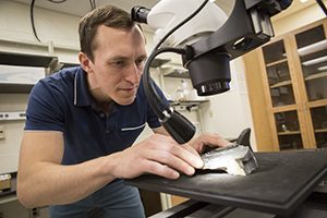 Photo of Gulbranson studying a fossil under a microscope. (UWM Photo/Troye Fox)
