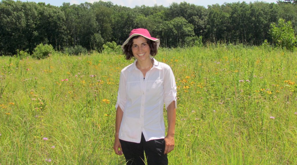 Photo of UW-Madison graduate student Carly Ziter conducting field work in a restored urban prairie in Turville Point Conservation Park in Madison. Photo by Eric Pedersen