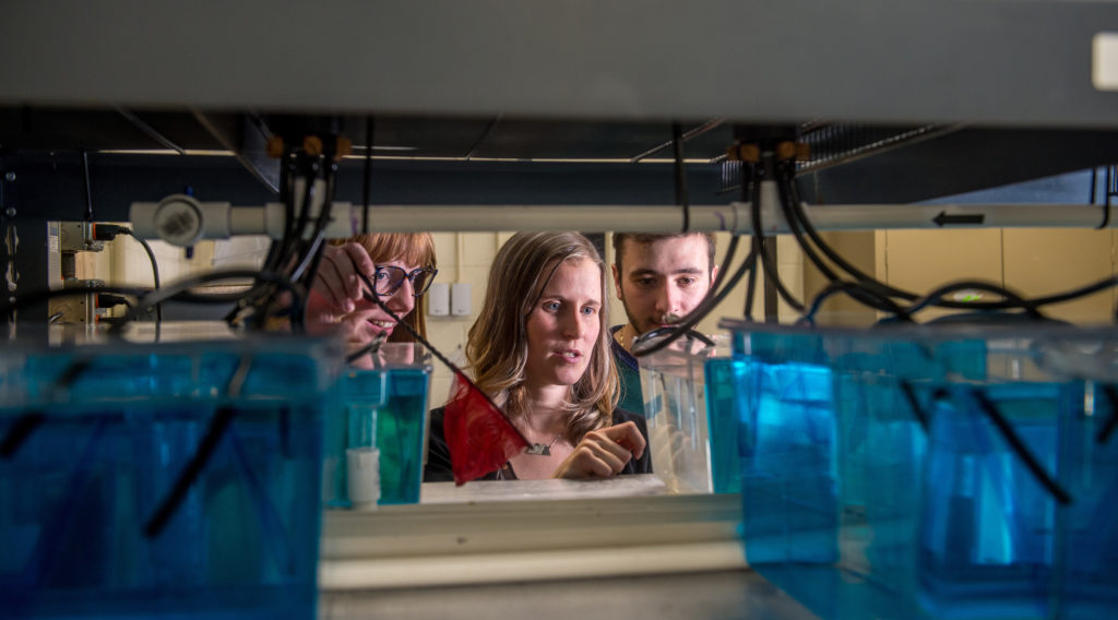 Photo of University of Wisconsin-Superior assistant professor Dr. Jenean O’Brien, center, who is hopeful that her research will aid in better understanding muscle and immune development to provide insight into rhabdomyosarcoma (RMS), a devastating pediatric muscle cancer.