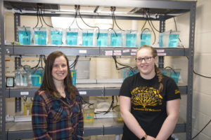 Photo of Dr. O'Brien (left) and a UW-Superior student researcher standing in front of zebrafish samples they are using to understand muscle and immune development.