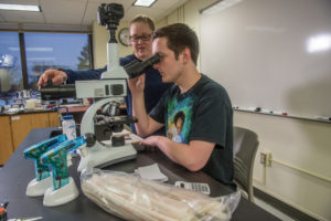 Photo of UW-Superior student researchers analyzing zebrafish samples.