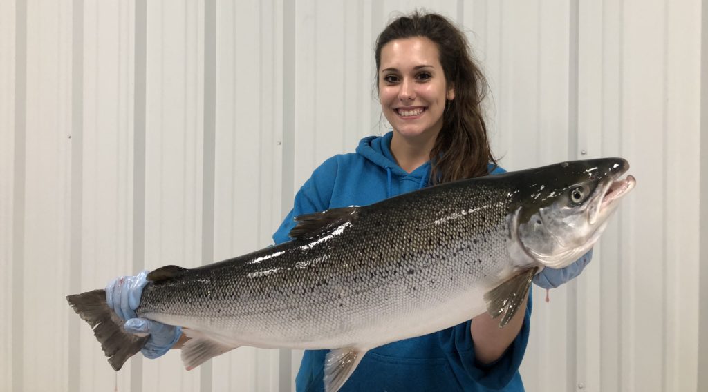 Photo of UW-Stevens Point student Brianna Dunbar, a biology major and intern for Superior Fresh, holding the first Atlantic salmon the company harvested.