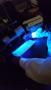 Photo of counting E. coli using Quanti-Tray System