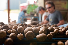 potatoes