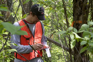 Mathematics professor collecting data in a forest