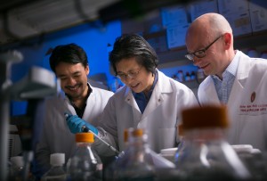 Dr. Nathan Welham (right), visiting scientist Kohei Nishimoto (left) and associate scientist Changying Ling work in the Welham Lab Tuesday, Nov. 16, 2015, at the Wisconsin Institute for Medical Research in Madison, Wis. Welham and his team have bio-engineered vocal chords that can generate a voice in humans. (John Maniaci/UW Health)