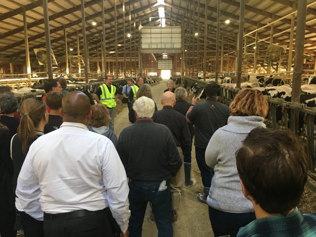 Photo of UW System Regent Cris Peterson leading a tour of Four Cubs Farm, the nearly 1,200-cow dairy operated by her family.