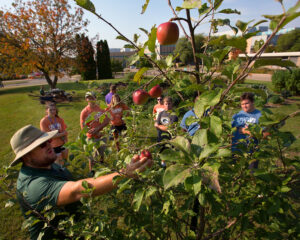 Photo of Sustainability coordinator Wes Enterline, left, conducting a tour of the UW-Whitewater campus produce garden and orchard for learning community students. Students from UW-Whitewater learning communities gave hours of service on Friday, September 15, 2017, on campus and in the city of Whitewater. (UW-Whitewater photo/Craig Schreiner)