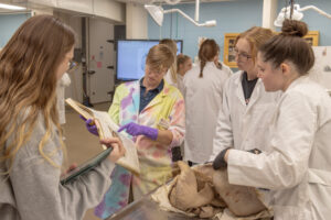 Photo Anatomy Lab Gunderson