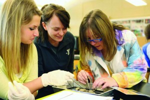 Students and instructor examine dissected frog