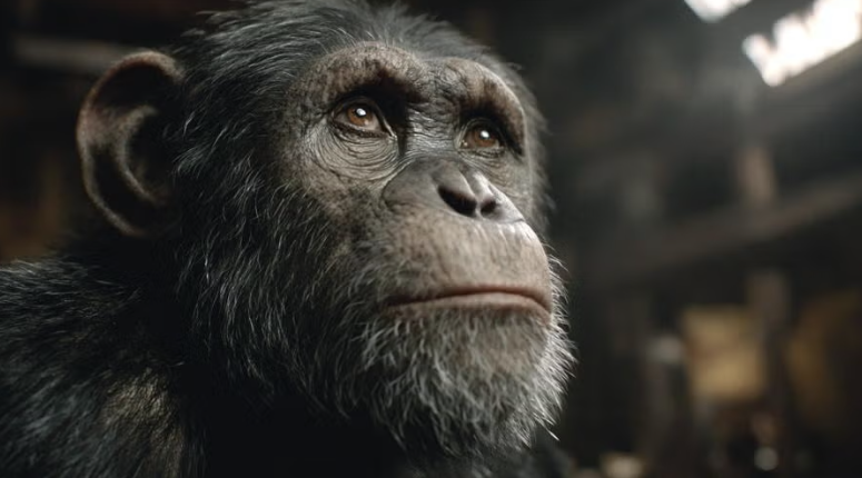 UW-Stout course sets AI-use as baseline competency in filmmaking