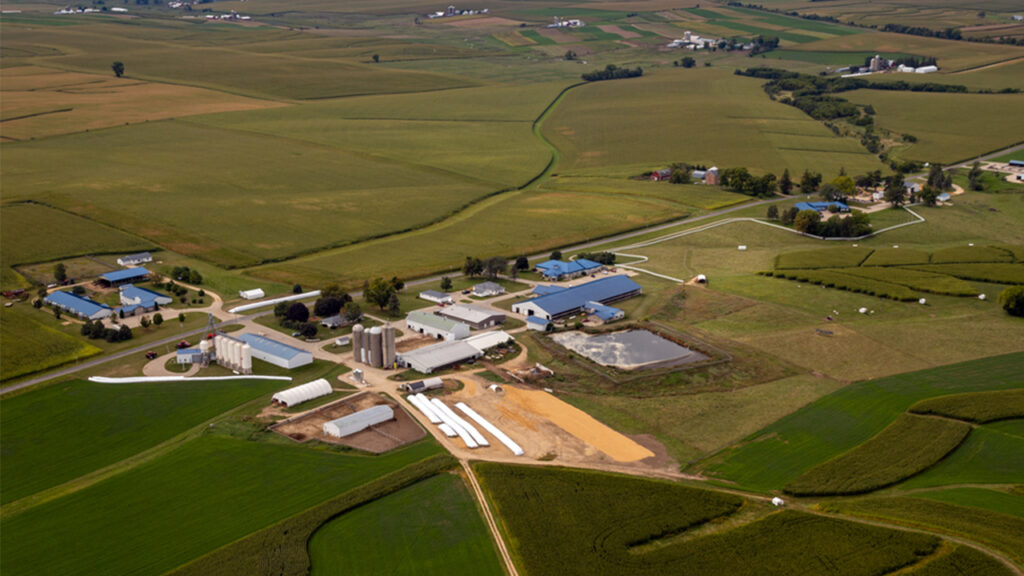 School of Agriculture is milking innovation and setting the bar high with cutting-edge dairy technology at Pioneer Farm