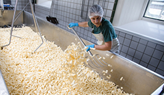 Cheese making