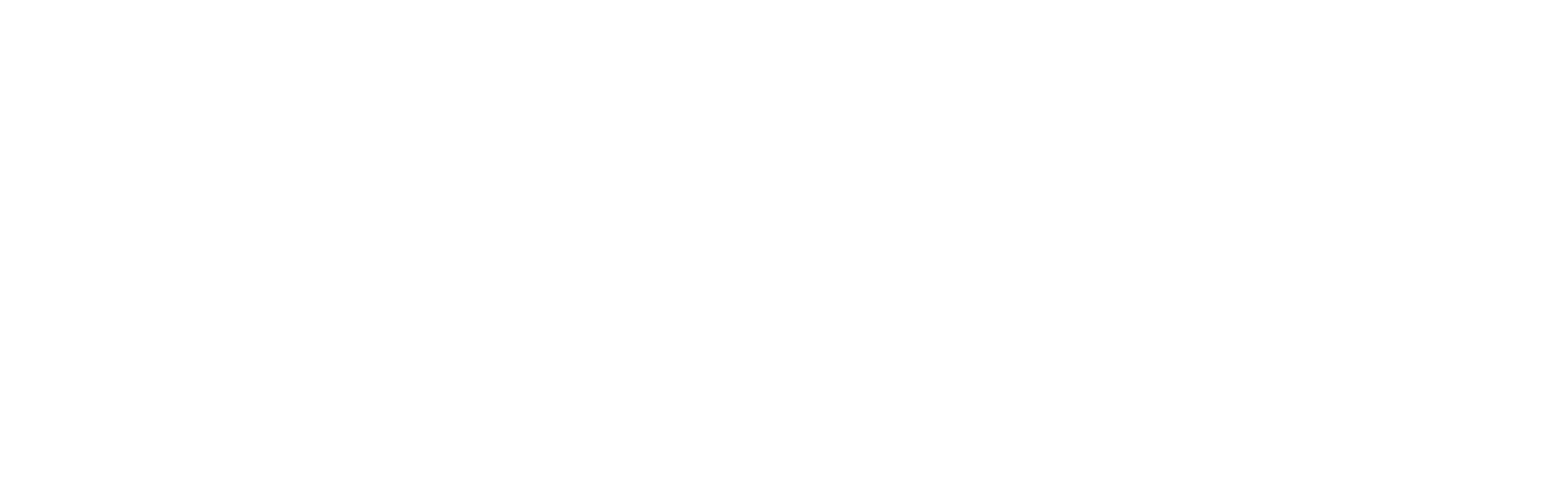 UW-Stout Polytechnic logo full white color